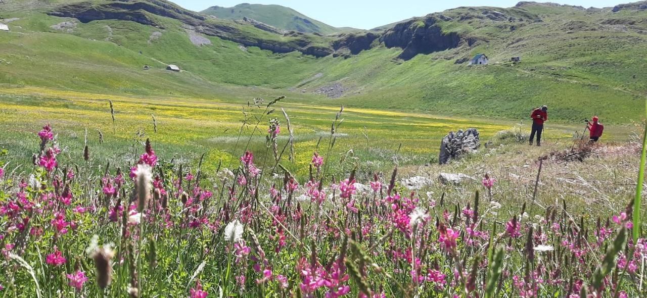 Дома для отпуска Holiday Home Helena Колашин-34