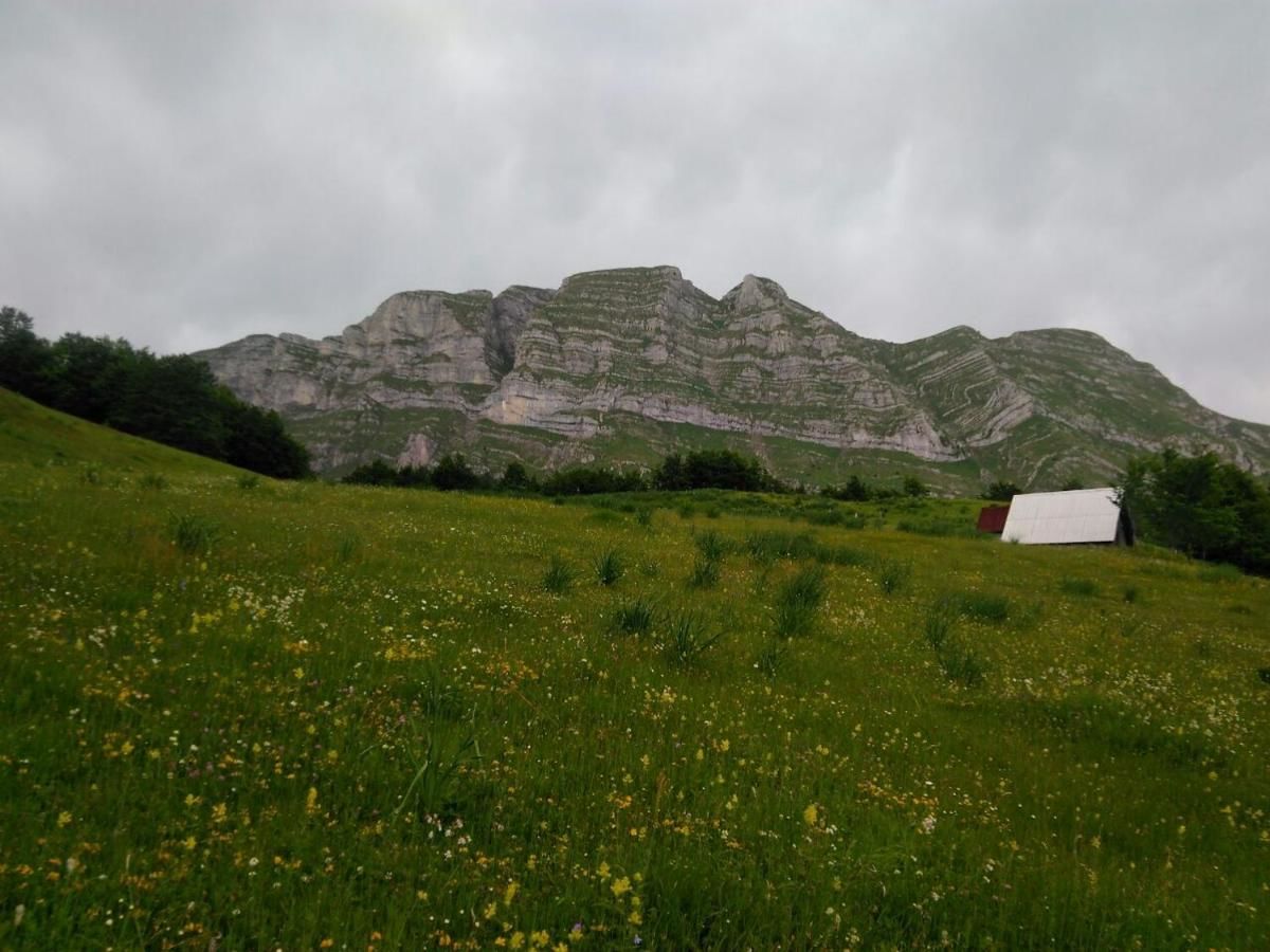 Дома для отпуска Holiday Home Helena Колашин-41