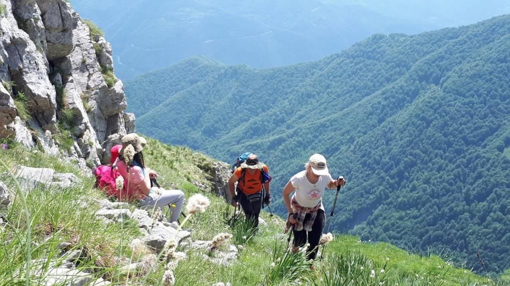 Дома для отпуска Holiday Home Helena Колашин-71