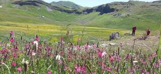 Дома для отпуска Holiday Home Helena Колашин Дом для отпуска-30