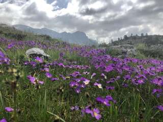 Дома для отпуска Holiday Home Helena Колашин Дом для отпуска-60