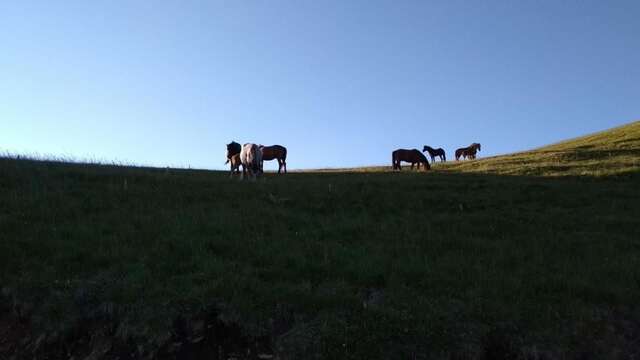 Дома для отпуска Holiday Home Helena Колашин-34
