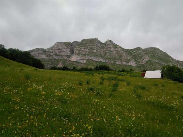 Дома для отпуска Holiday Home Helena Колашин-69